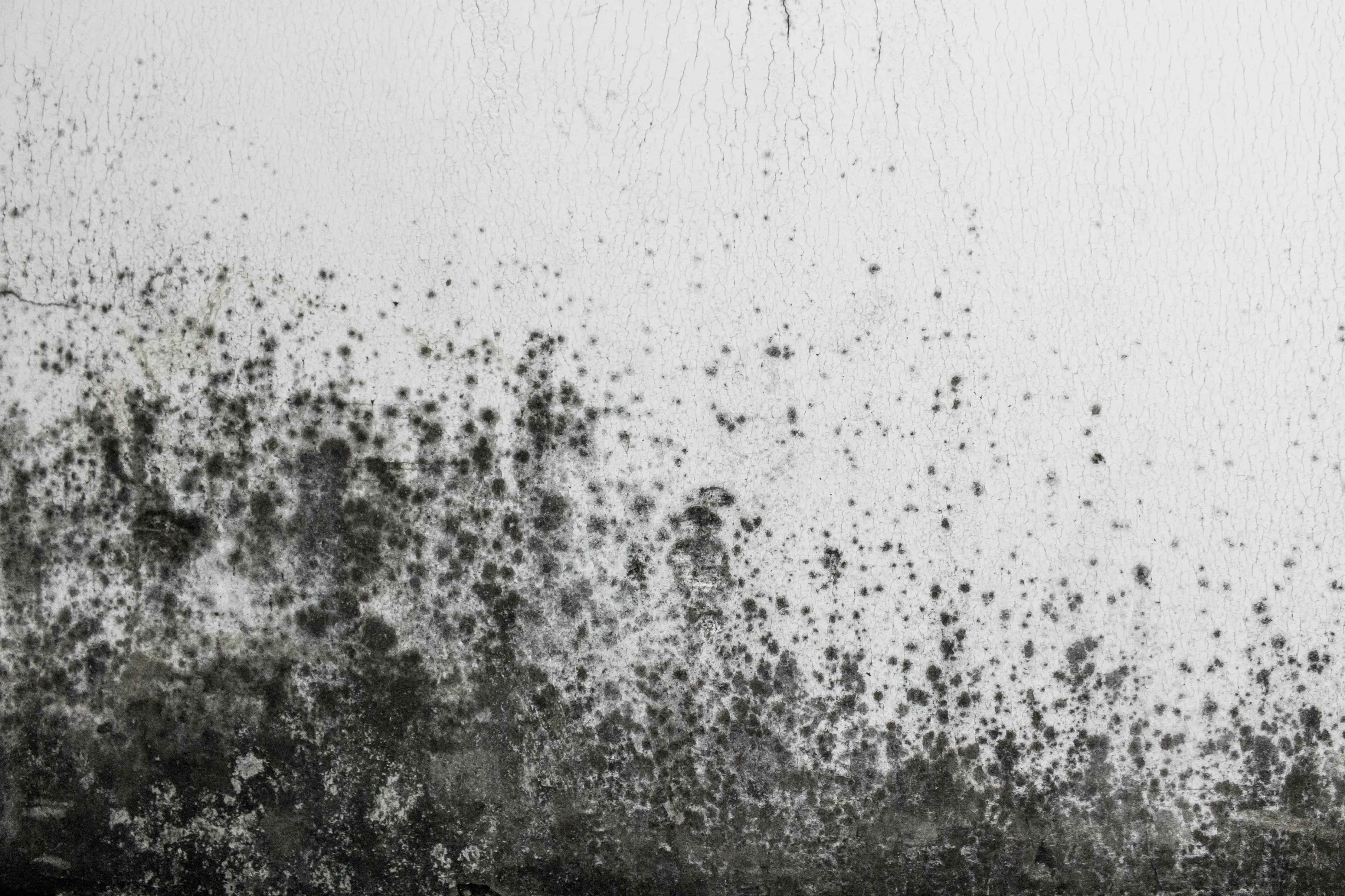 Water Damage Background