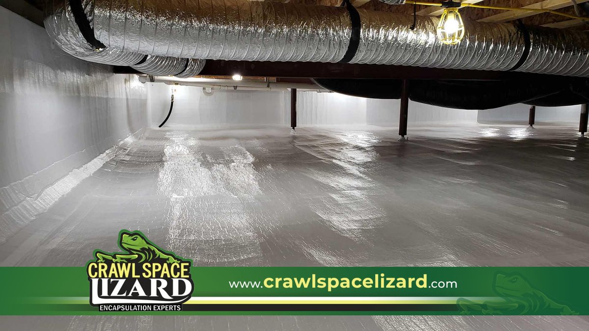 Crawlspace Lizard building