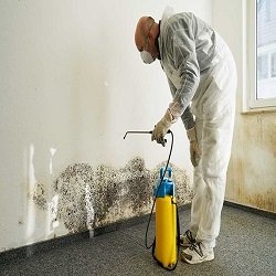 Metro Water Damage Restoration building