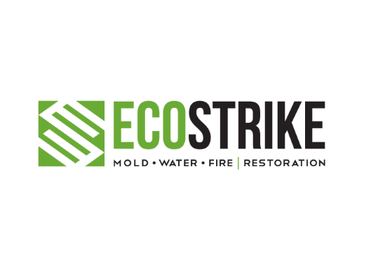 EcoStrike logo