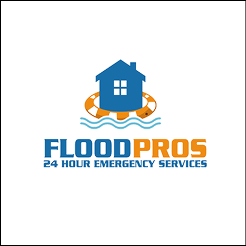 Flood Pros USA - Atlanta logo