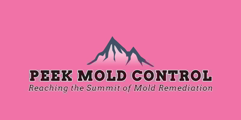 Peek Mold Control logo