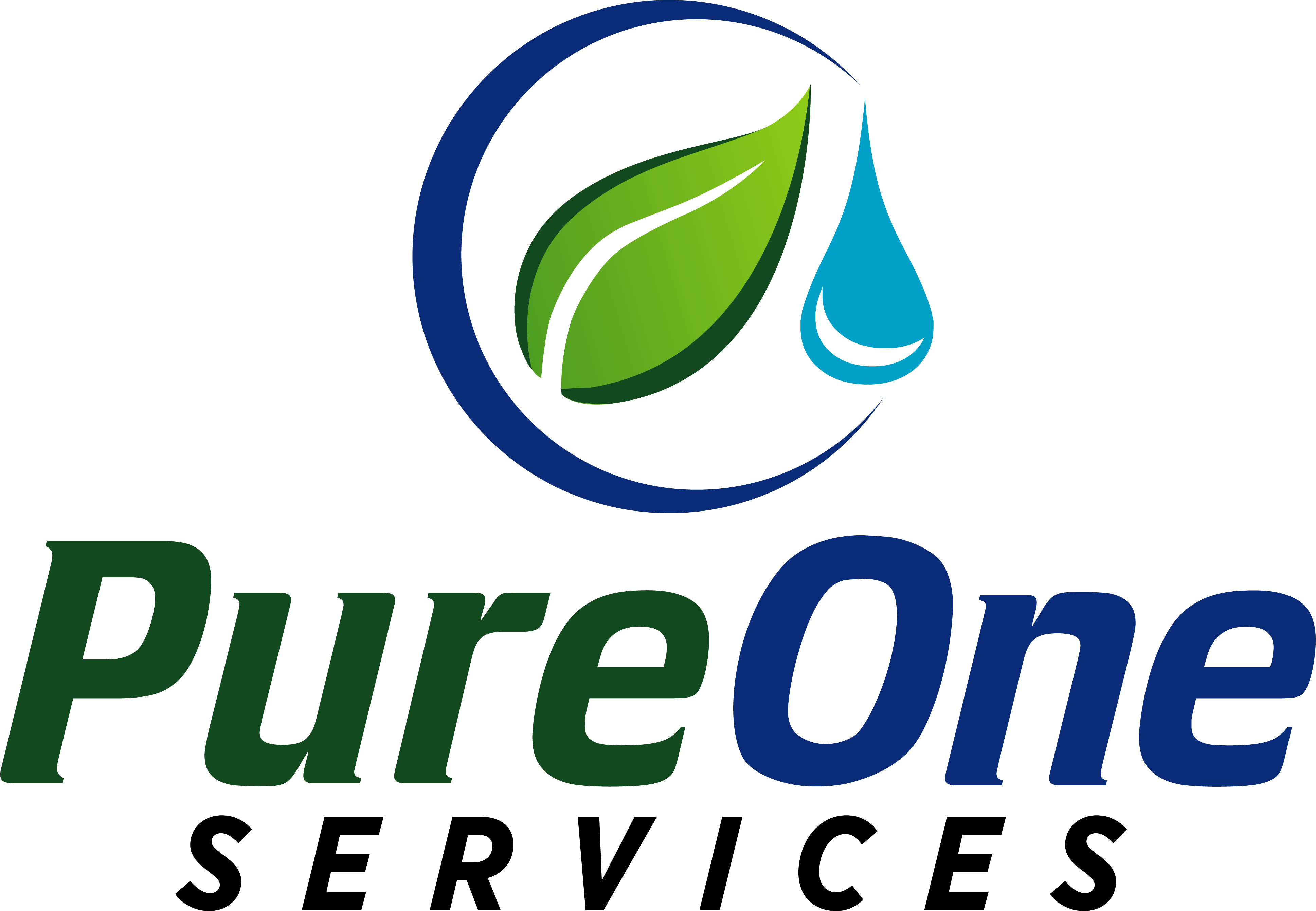 PureOne Services logo